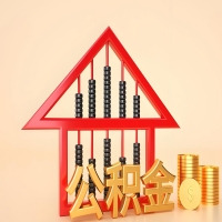 关于枣庄公积金代取的事情，我想谈谈个人的想法，或许对你有帮助。